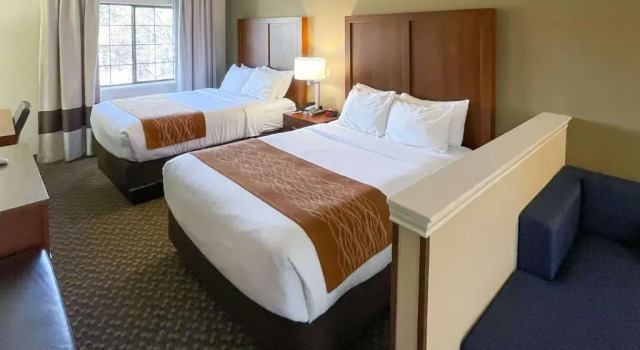 Двухместный люкс Comfort Inn & Suites Midtown