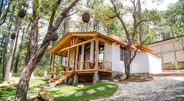 Семейный люкс Deluxe Cabañas La Vid Del Bosque