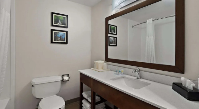 Двухместный люкс c 1 комнатой Comfort Inn & Suites Santee I-95