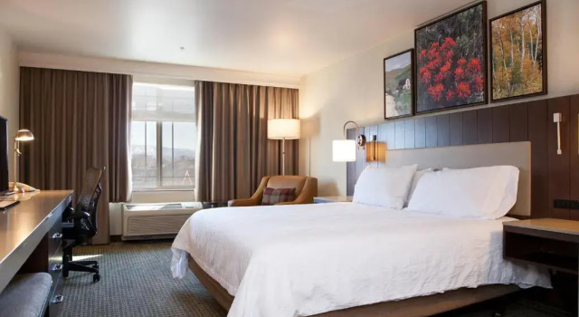 Номер Standard Hilton Garden Inn Boise / Eagle