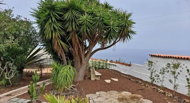 Tenerife Apartment Dulcynea with terrace and garden 600m2 with ocean and Teide view, Book Apartment Hotels in Tenerife with Parking, Parking
