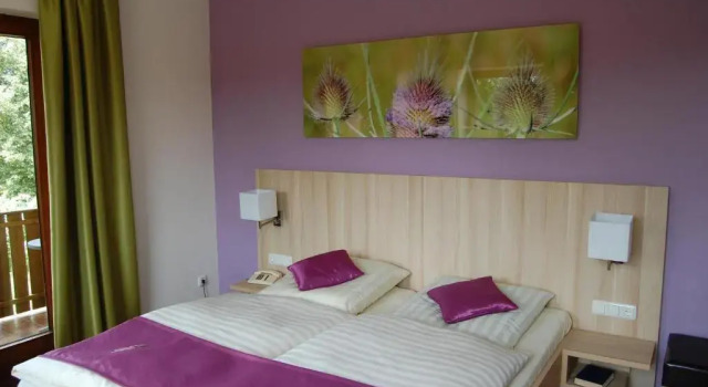Двухместный номер Standard Gasthof Linden & Wildkräuterhotel