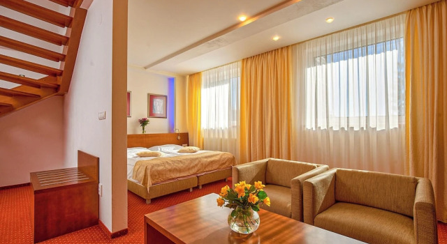 Номер Presidential Hotel Stupka