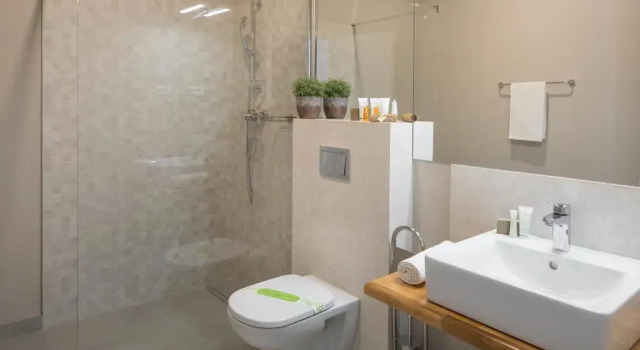 Номер Economy Hirscher Loft