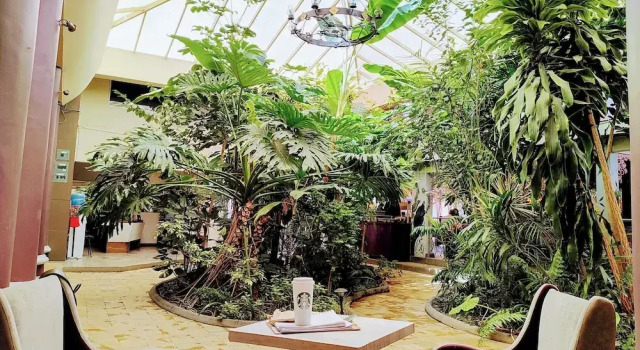 Двухместный номер Comfort Hotel Jardines del Centro