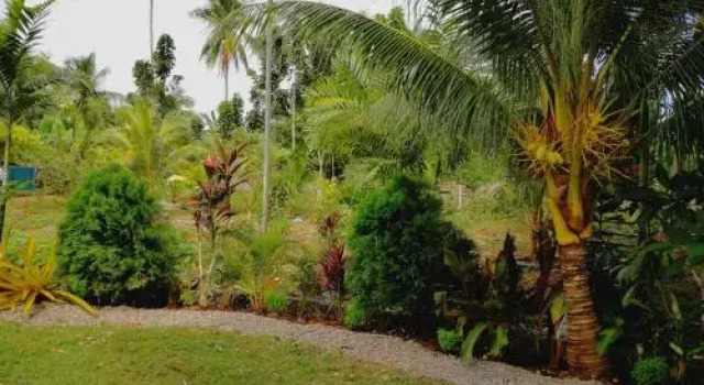 Momovillage