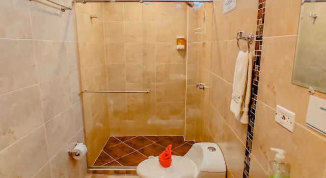 Двухместный номер Standard Hotel Boutique Palmas de Salento