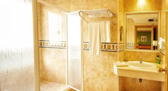 Одноместный номер Standard Hotel Torrepalma