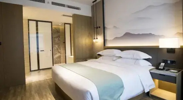 Люкс Executive METEORLAND Hotel (Chengdu Universiade Sports Center)