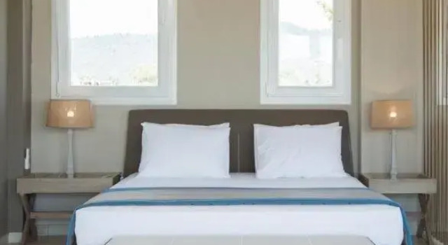 Люкс Deluxe Sarti beach hotel