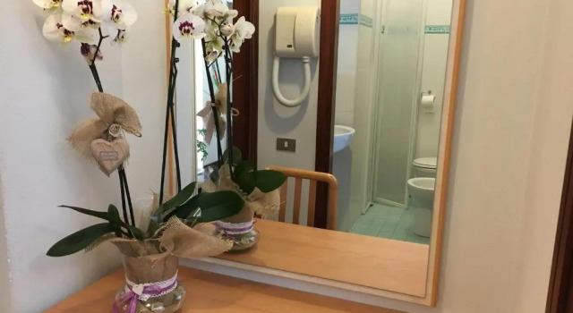 Номер Standard Hotel Consul