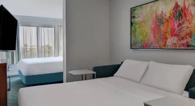 Люкс Springhill Suites Jacksonville