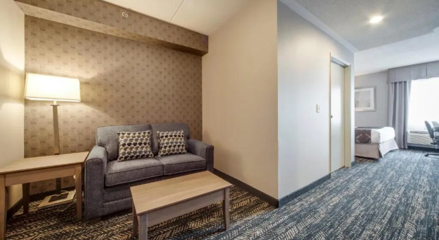 Двухместный люкс с видом на город Monte Carlo Inn Brampton