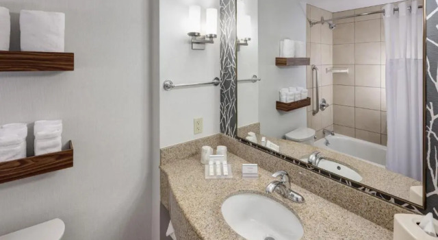 Двухместный номер Premium Hilton Garden Inn Lake Forest Mettawa