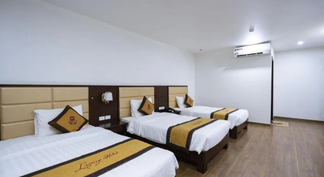Номер Standard LUXURY II HOTEL