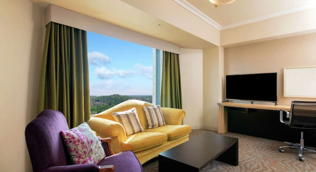 Двухместный полулюкс Hilton Tokyo Narita Airport