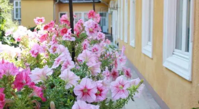 Art Dream Apartment, Забронировать Апартаменты/квартира Апартаменты Будапешта, Апартаменты/квартира