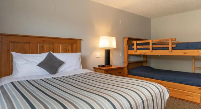 Standard famille chambre Red Tree Lodge