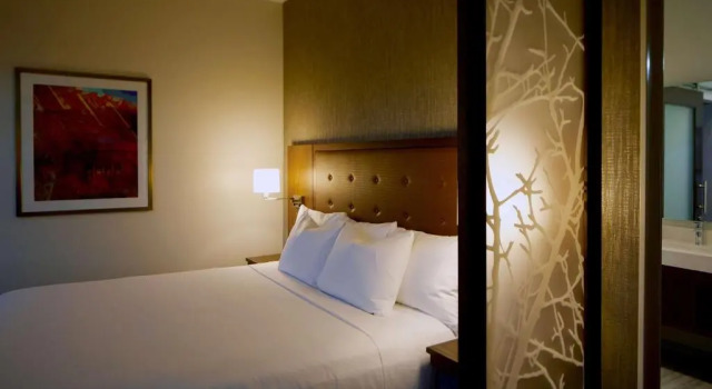 Двухместный номер Hyatt Place Las Vegas at Silverton Village