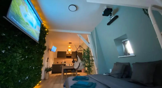 Zen - Roubaix-Lille - Balneo - Home Cinema - Billard