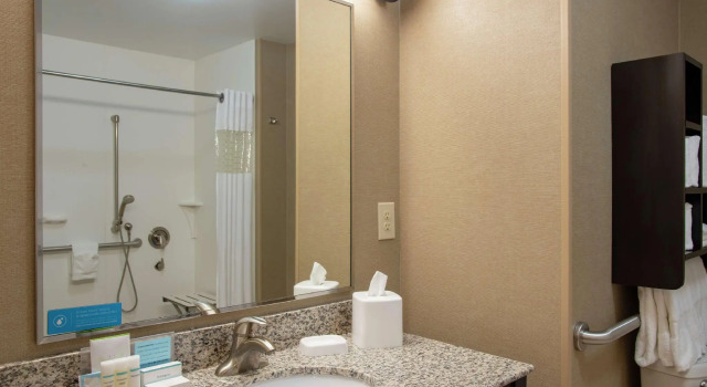 Двухместный номер Standard Hampton Inn & Suites Saginaw
