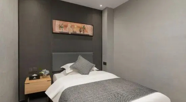 Люкс Lizhi Yagu Hotel (Xi'an Railway Station North Square Hanyuandian Subway Station)