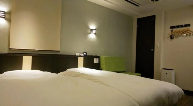 Двухместный номер Superior Ueno First City Hotel