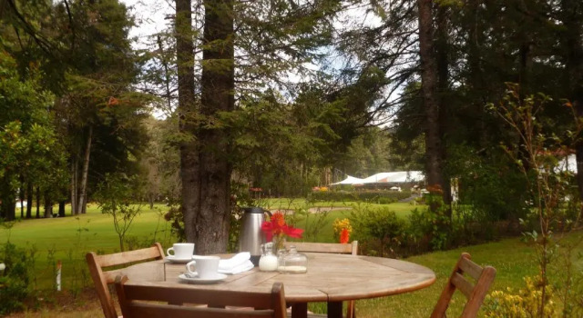 Семейный номер Standard Hotel Rancho Viejo