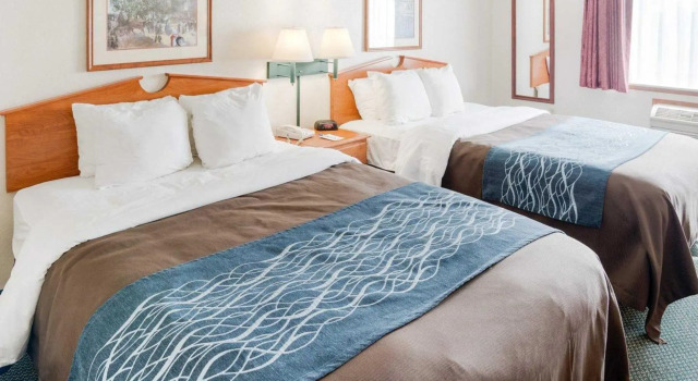 Четырёхместный номер Standard Quality Inn near Medical Center
