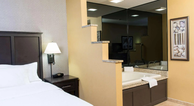 Номер Standard Hampton Inn Holland