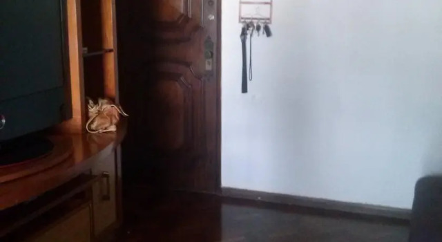 Apartamento Cristo Redentor, Забронировать Апартаменты/квартира Апартаменты штата Рио-де-Жанейро, Апартаменты/квартира
