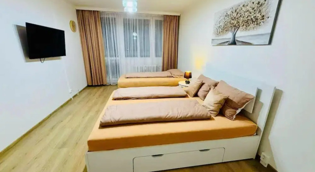 Apart for Rent Near Center