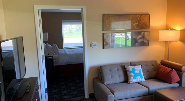 Люкс c 1 комнатой TownePlace Suites by Marriott Detroit Belleville