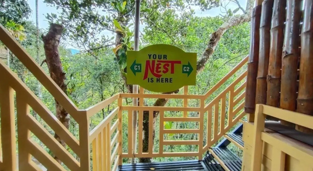 Chalona Jungle Eco Stay