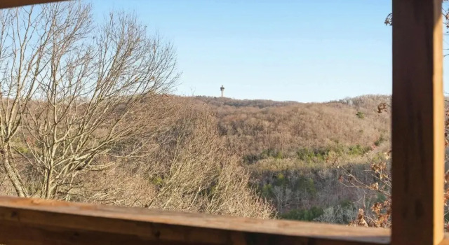 Номер Standard Ozark Overlook Escape For 6