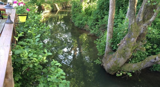 Sarikonaklar Garden Village, Rezerwuj Hotel Şile Stambuł