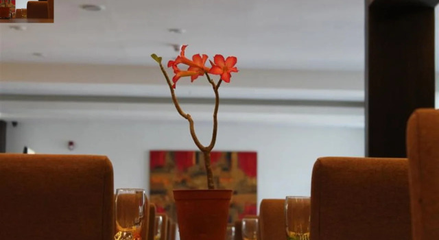 Top Star Hotel