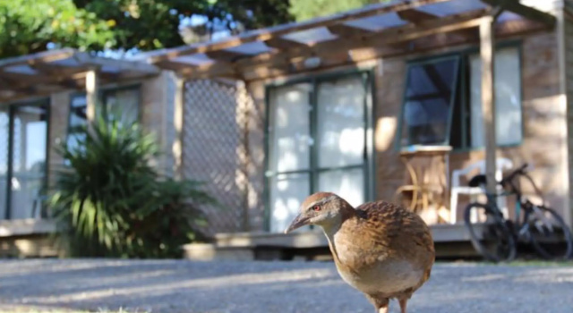 Номер Economy Russell-Orongo Bay Holiday Park