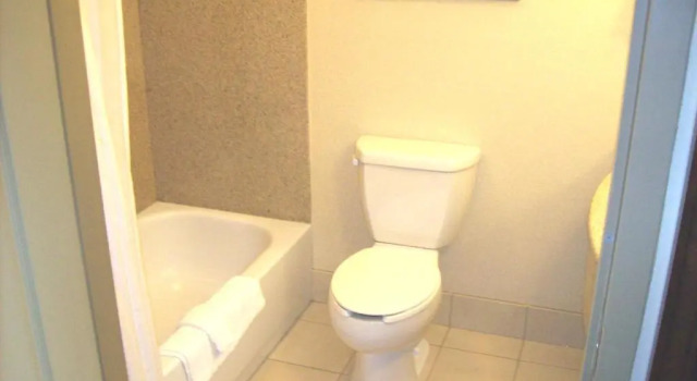 Двухместный номер Premium Hilton Garden Inn Frederick