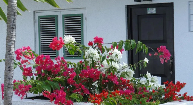 Appartamento Plum Tree Club