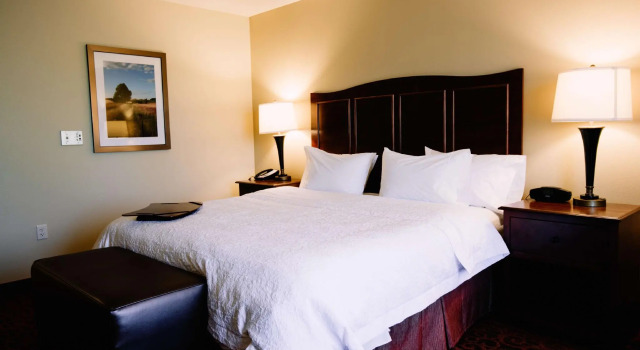Двухместный номер Standard Hampton Inn & Suites Minot
