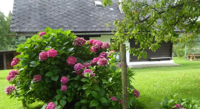Коттедж Ferienhaus Koglegg