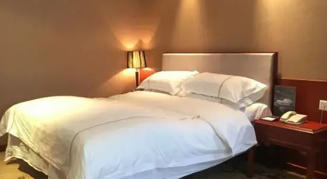 Люкс Cangxi International Hotel