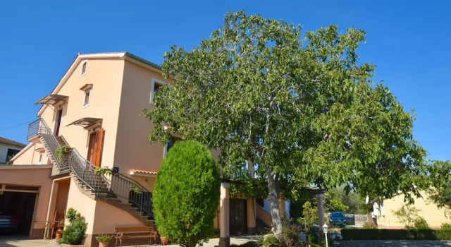 Apartments Anton D