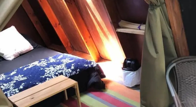 Номер Standard Glamping Laguna Sagrada