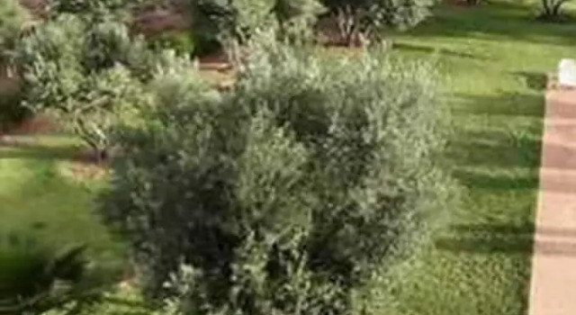 Villa AH MN, Забронировать Вилла Отели Марракеш-Тенсифт-Эль-Хауз с парковкой, Парковка