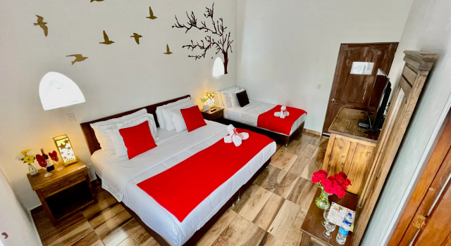 Трёхместный номер Standard Hotel Boutique & Spa - VDL Colonial