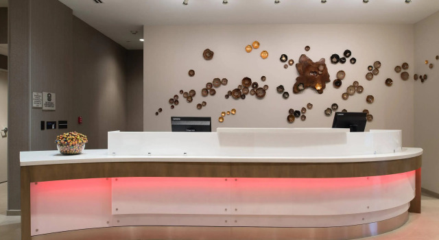 SpringHill Suites by Marriott Austin Cedar Park