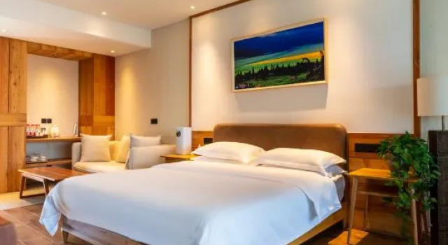 Люкс Deluxe Hemu Taoyuan Guesthouse