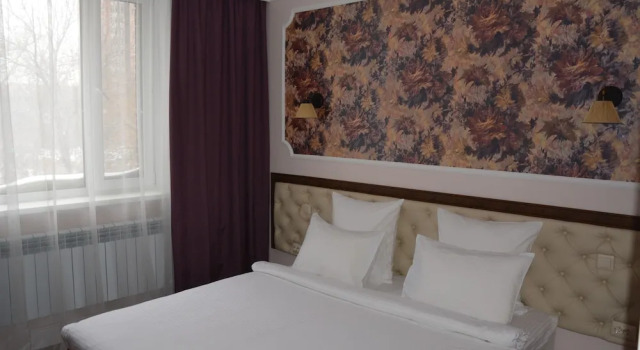 Supérieure chambre Brown Hotel